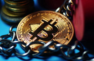 區(qū)塊鏈技術(shù)賦能鄉(xiāng)村振興 中國(guó)區(qū)塊鏈扶貧技術(shù)推廣中心正式成立